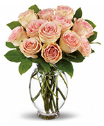 Teleflora's Delicate Dozen